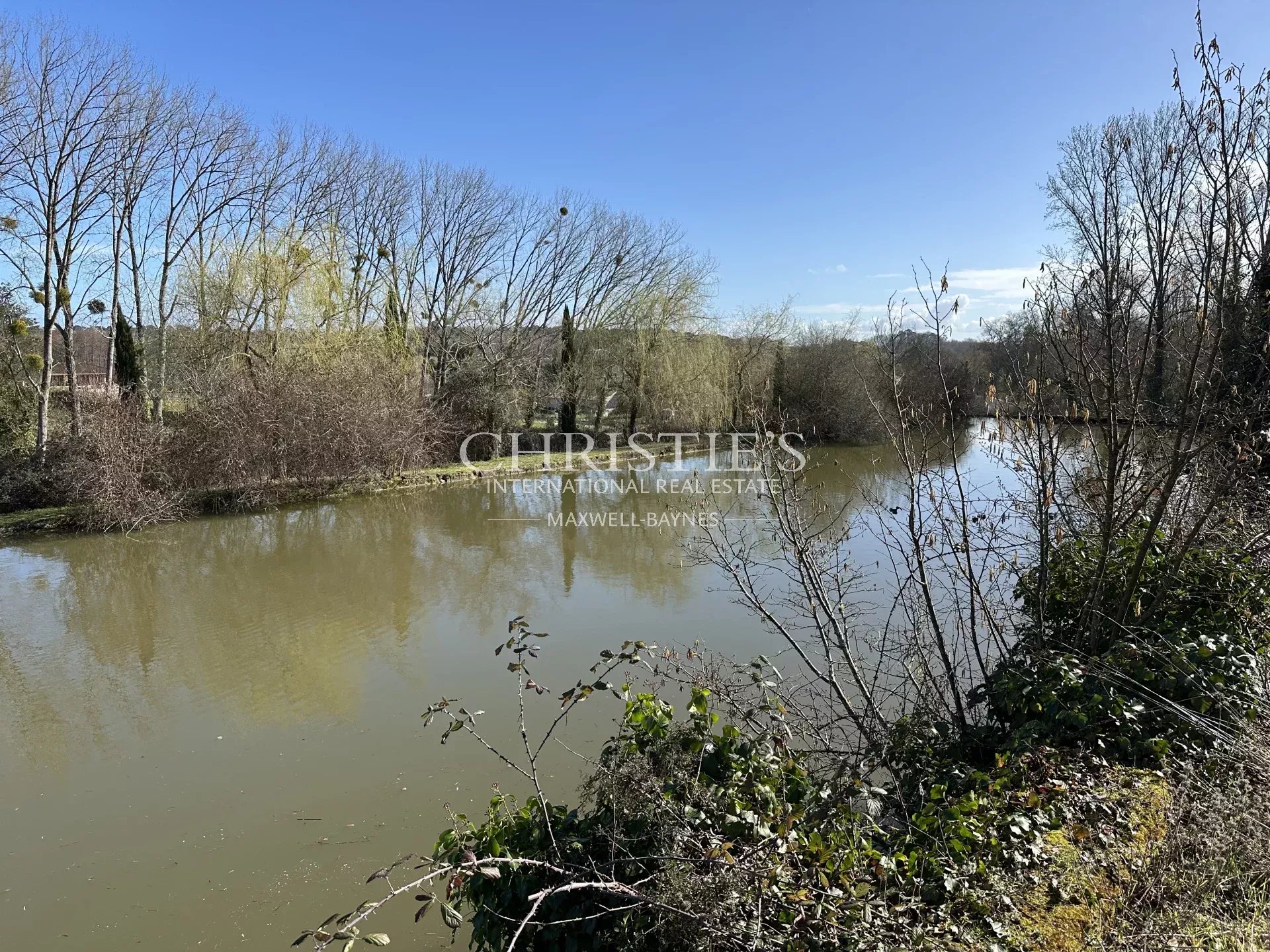 Vineyard's Image 11