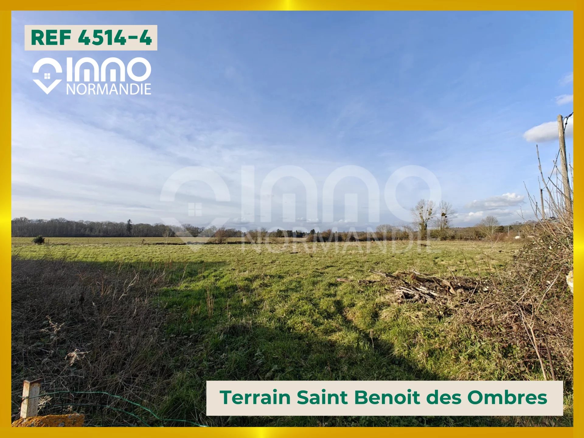 Agence immobilière de 