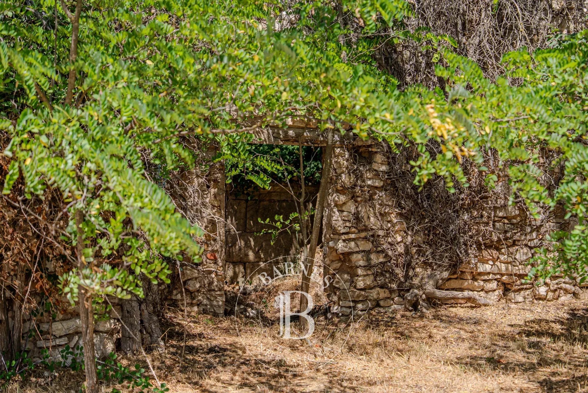 Ev Aix-en-Provence - picture 14