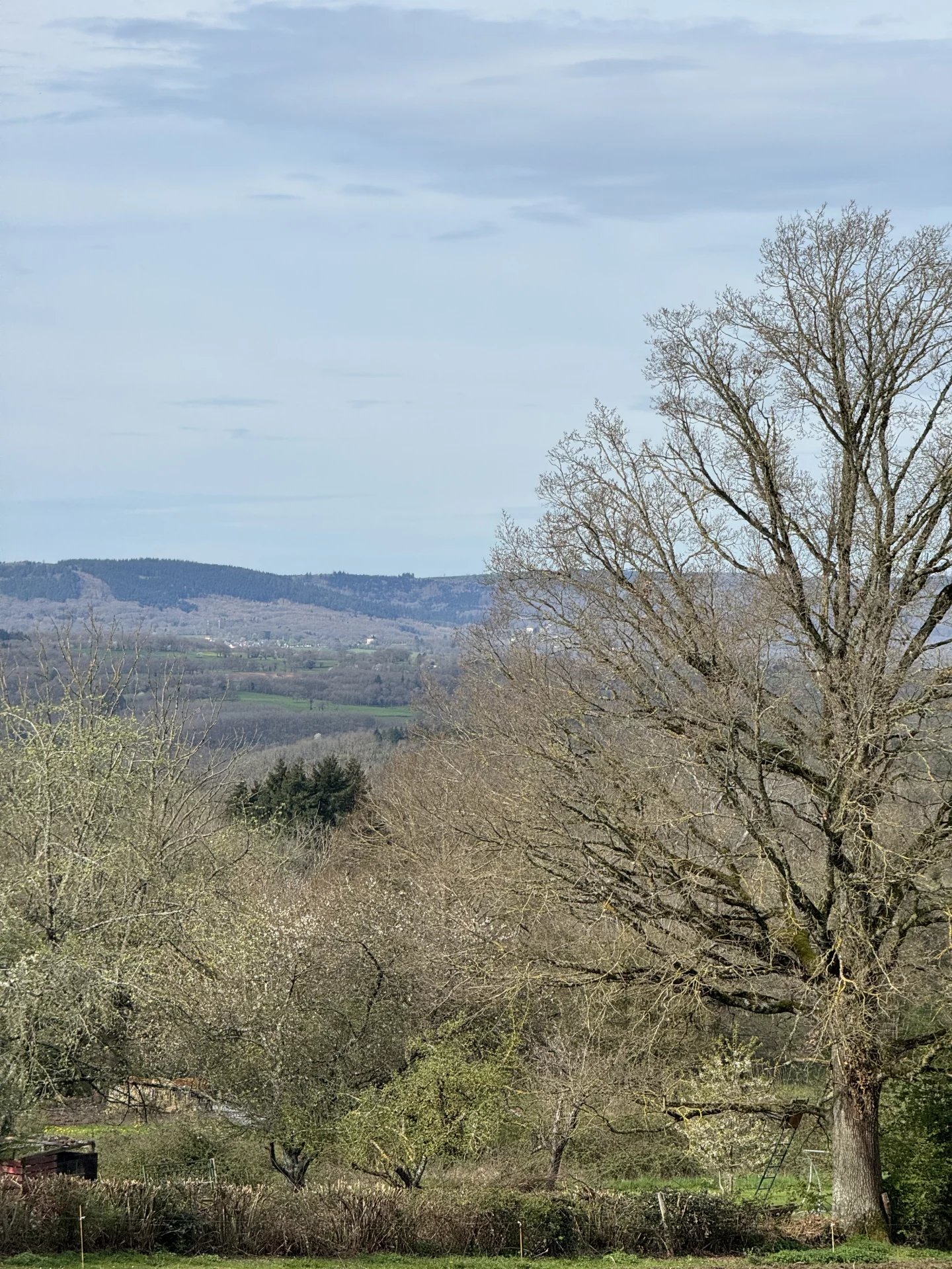 Farmhouse to renovate - Between Guéret and Jarnages