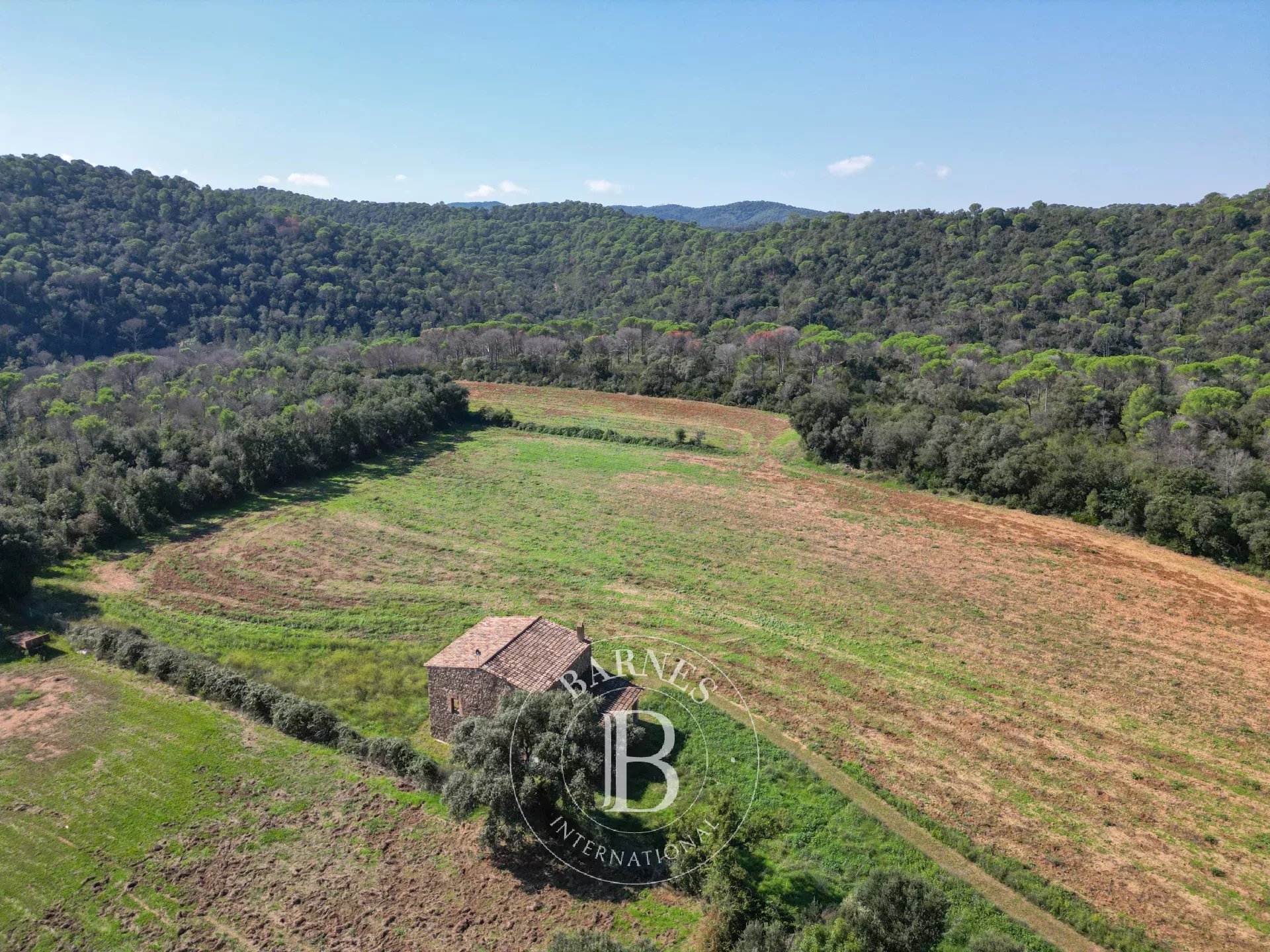 Mas Sant Sadurni de L'Heura - picture 5