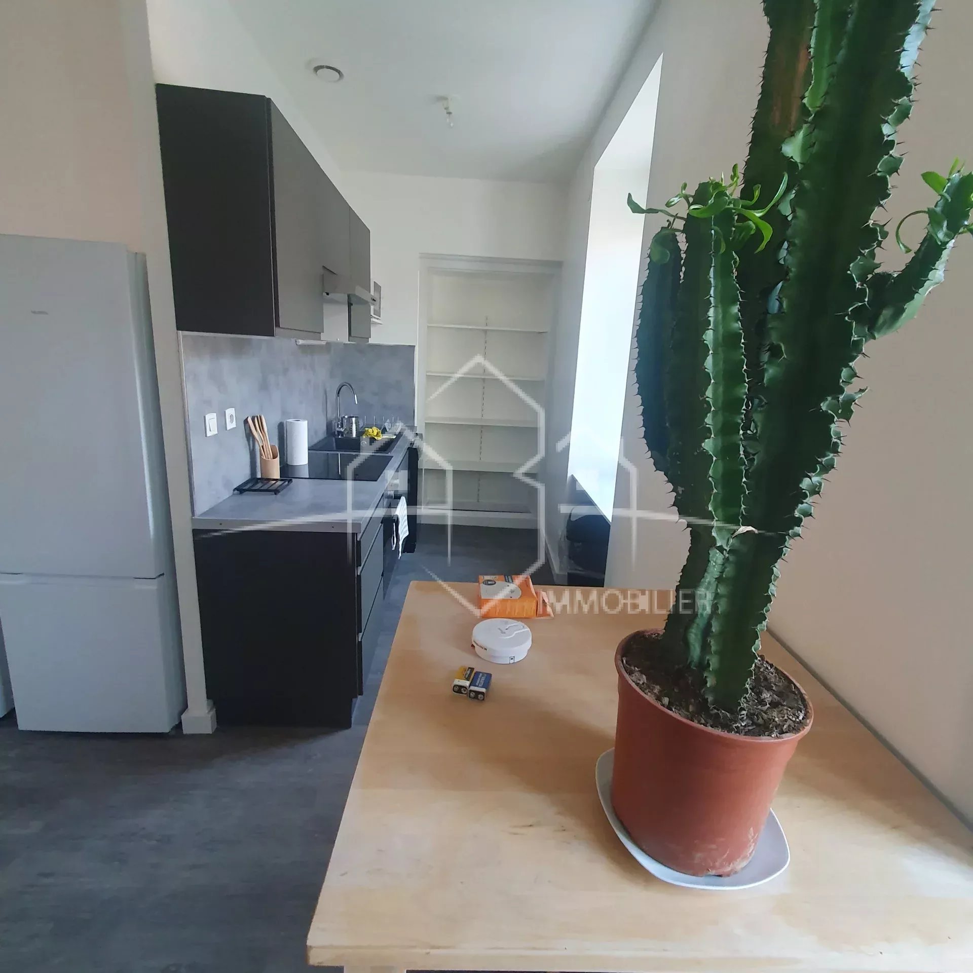 BEAUREPAIRE T2 meublé 2ème étage