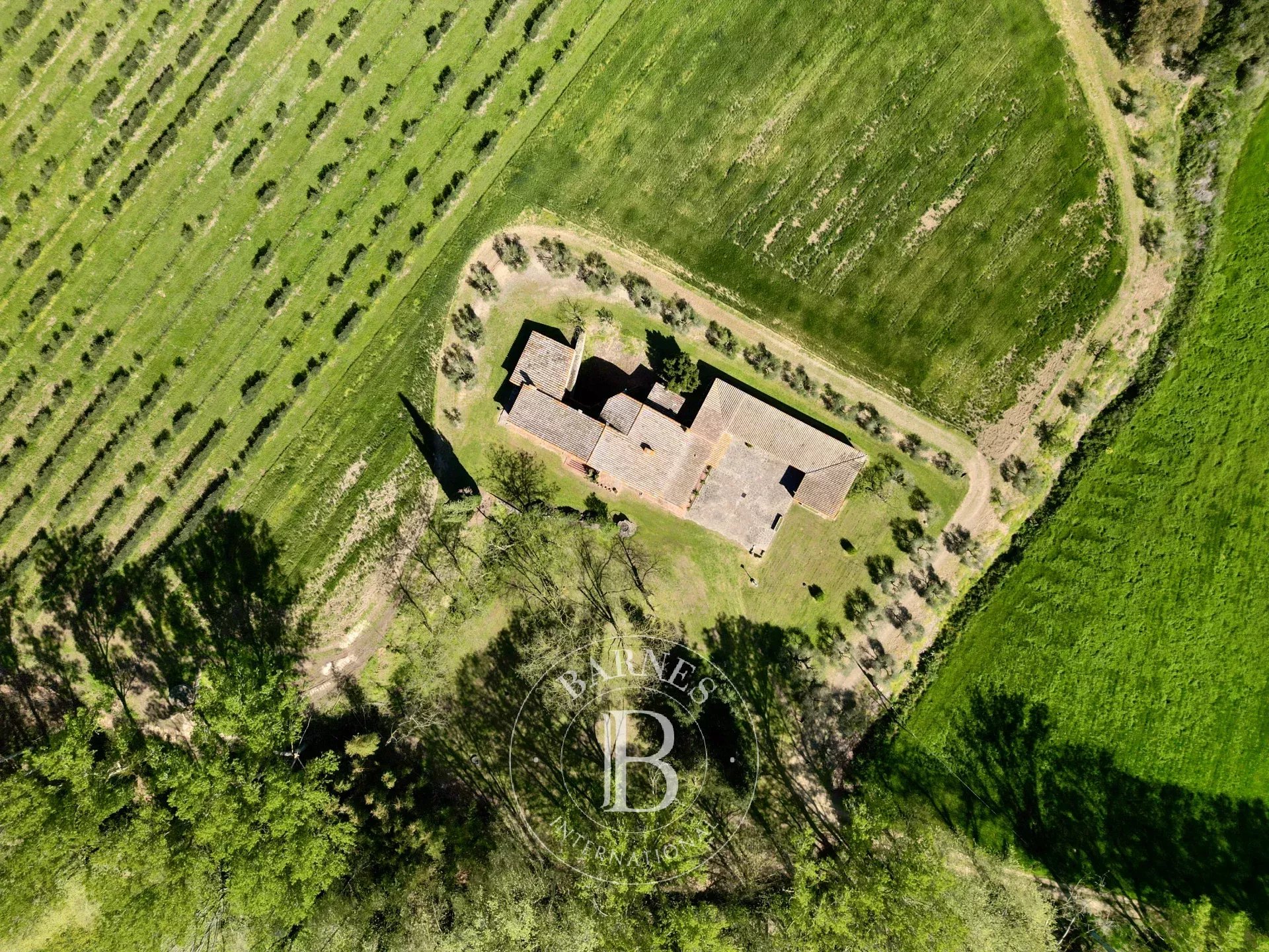 Çiftlik Llagostera - picture 36