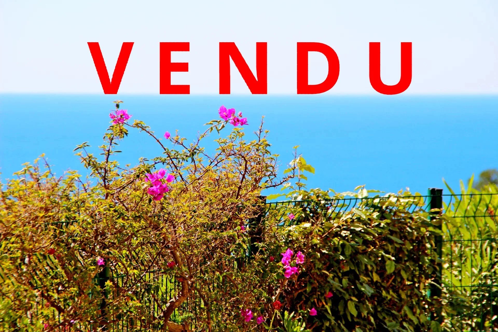 Agence immobilière de Azzurra Immobilier