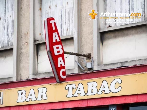 Agence immobilière de EURL ALTERNATIVE IMMOBILIER