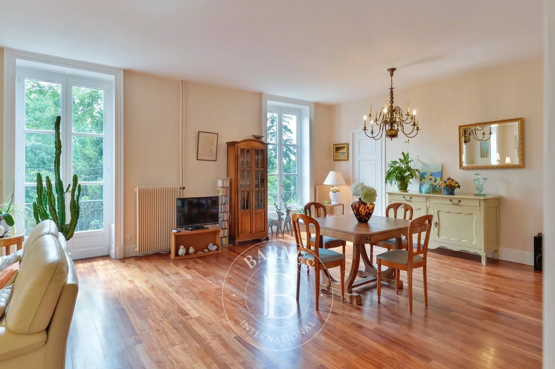 Ev Saint-Didier-au-Mont-d'Or - picture 4