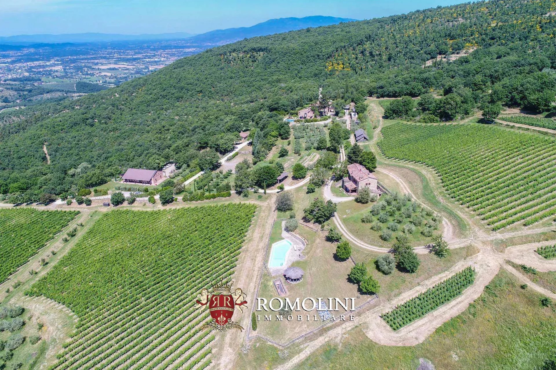 16 Bedroom Vineyard's Image 22