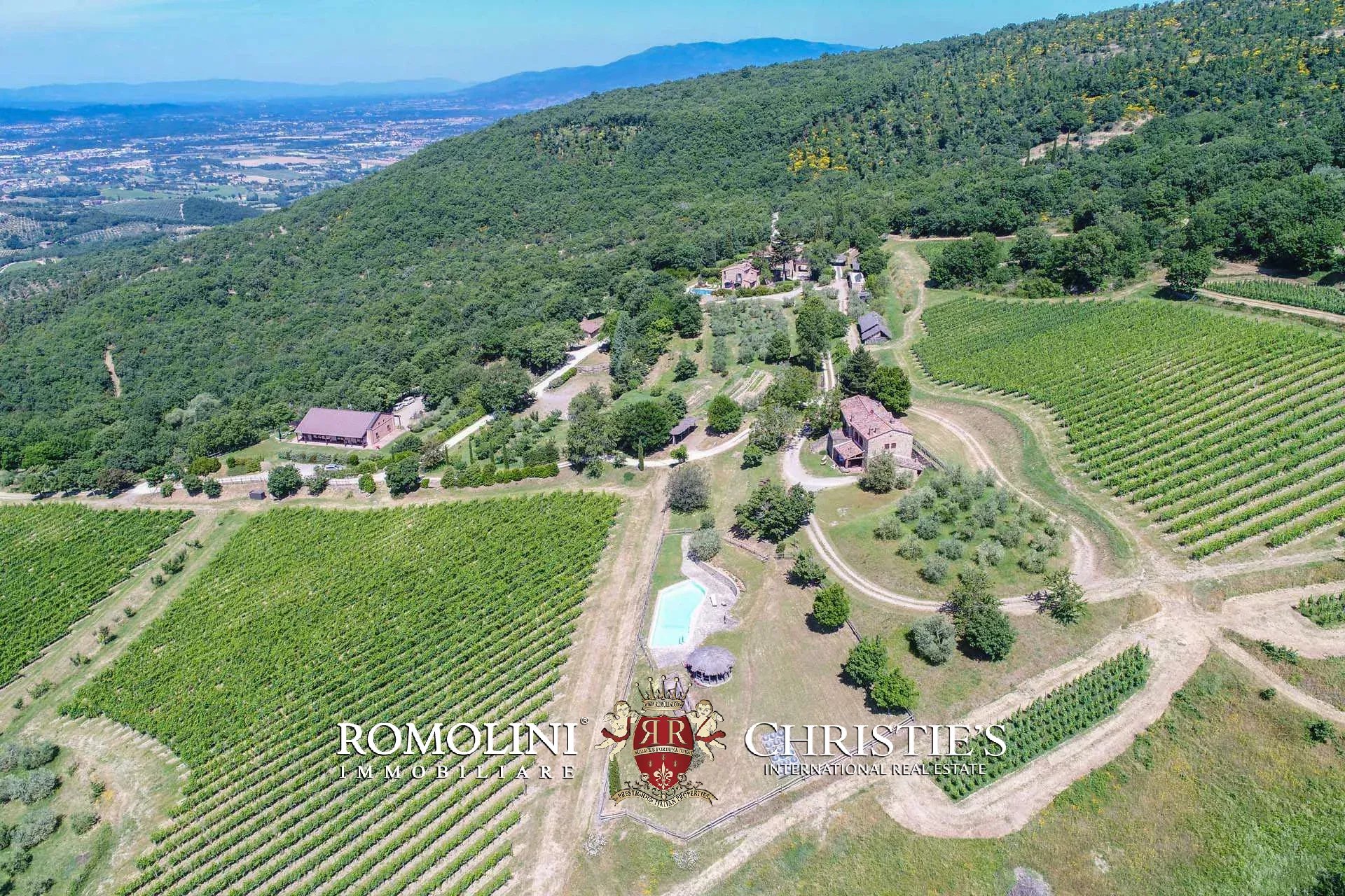 TENUTA VINICOLA BIOLOGICA IN VENDITA, CANTINA BIO TOSCANA