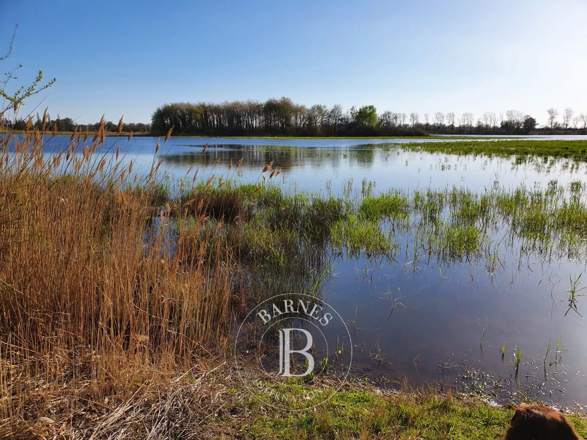 Propriété Villars-les-Dombes  -  ref 84805612 (picture 2)