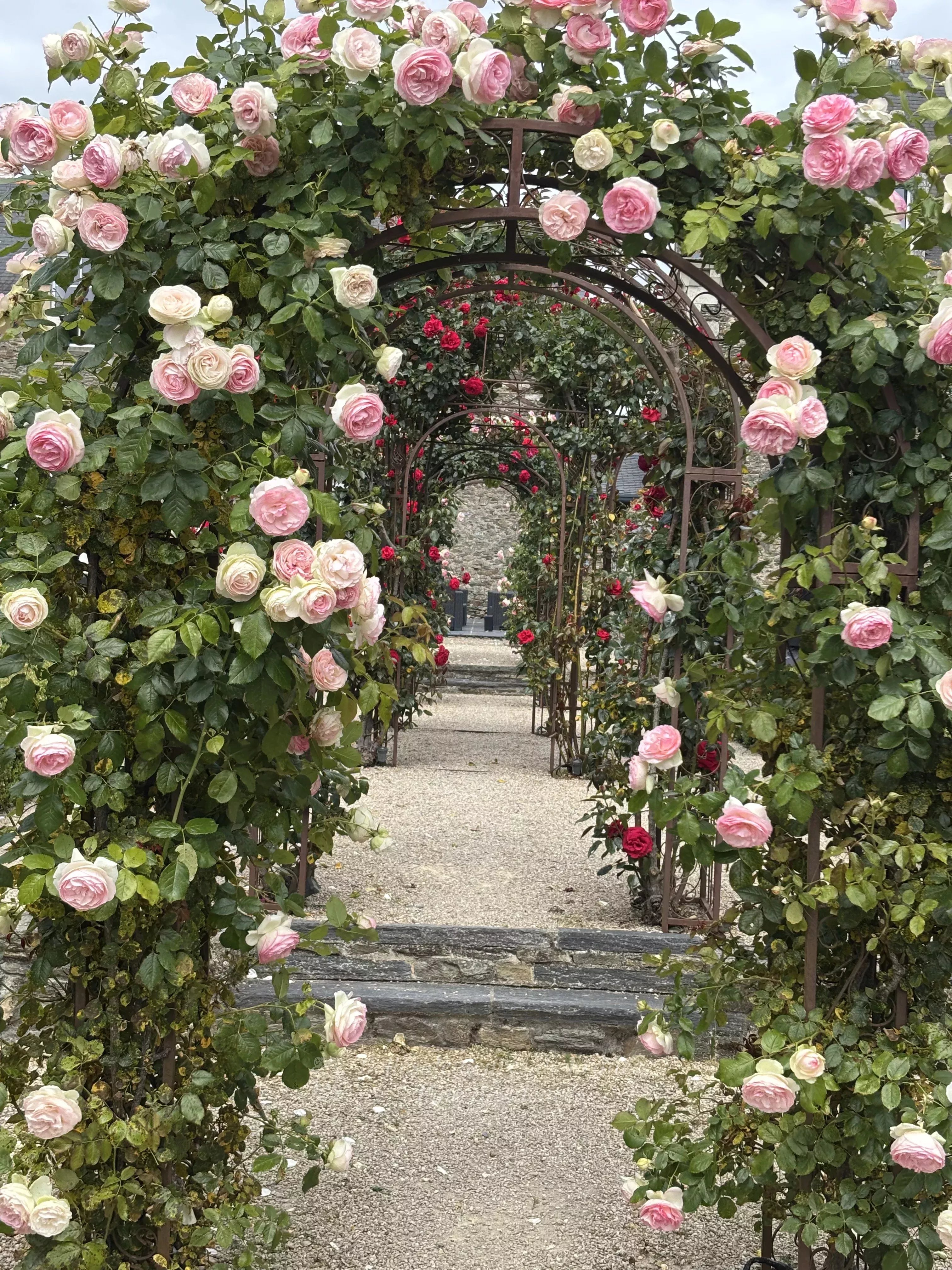 Off Market – Loire Valley – A 15th/18th century chateau set in 21 enclosed acres