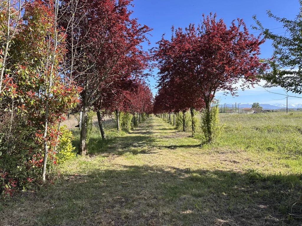 Verkoop Boerderij Libaros