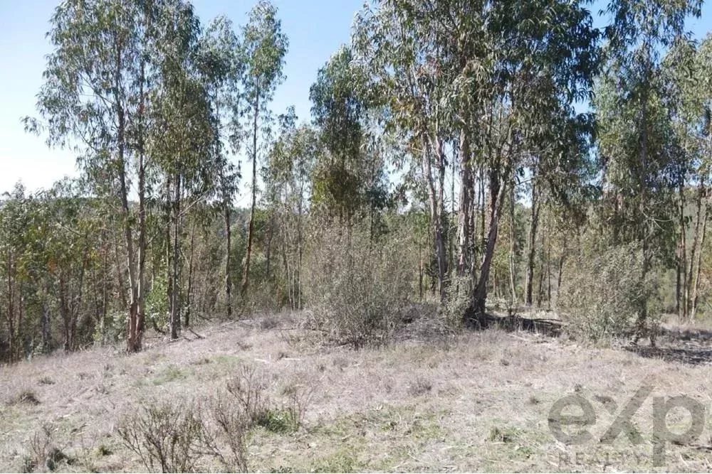 Exceptional 65-Hectare Estate in Alentejo with Tourism Development Potential 85506160 image 37