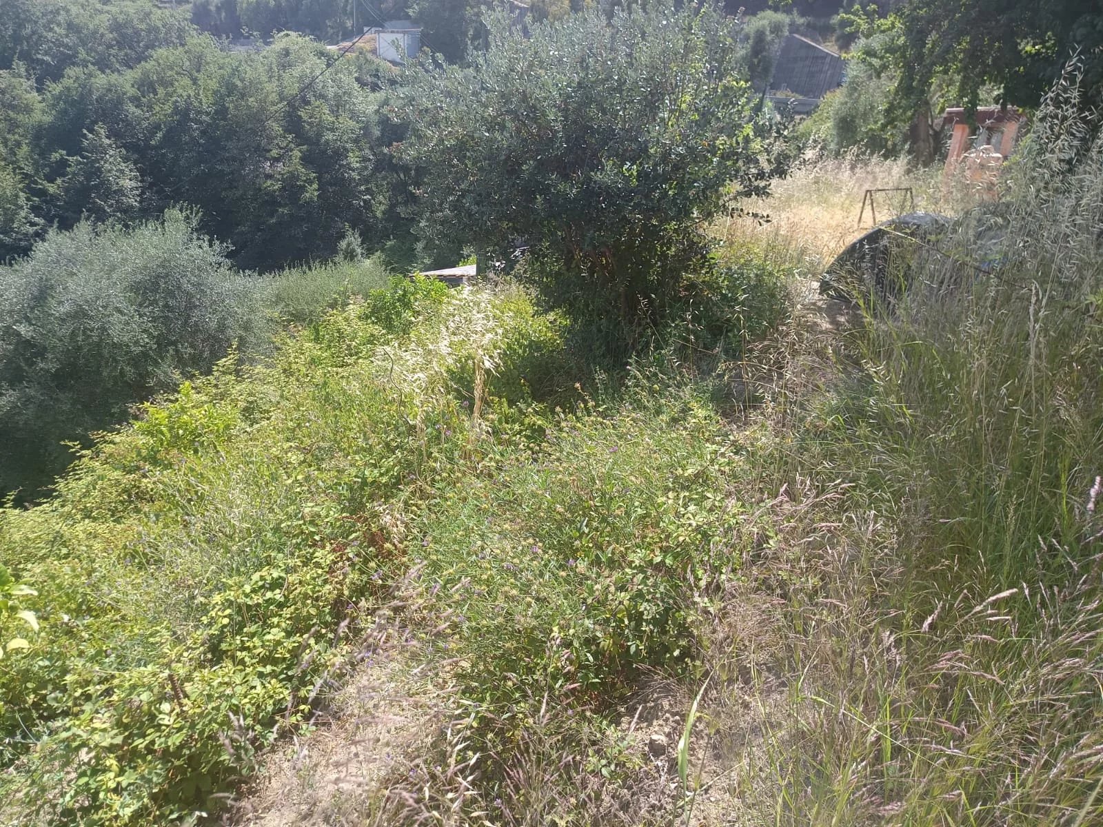 Saint-Agnès – Maison avec vaste terrain constructible, vue panoramique et fort potentiel — photo 19
