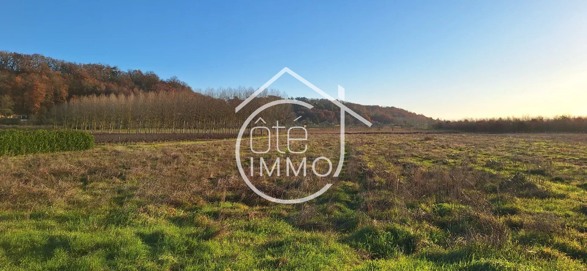 Agence immobilière de Agence Coteimmo.fr