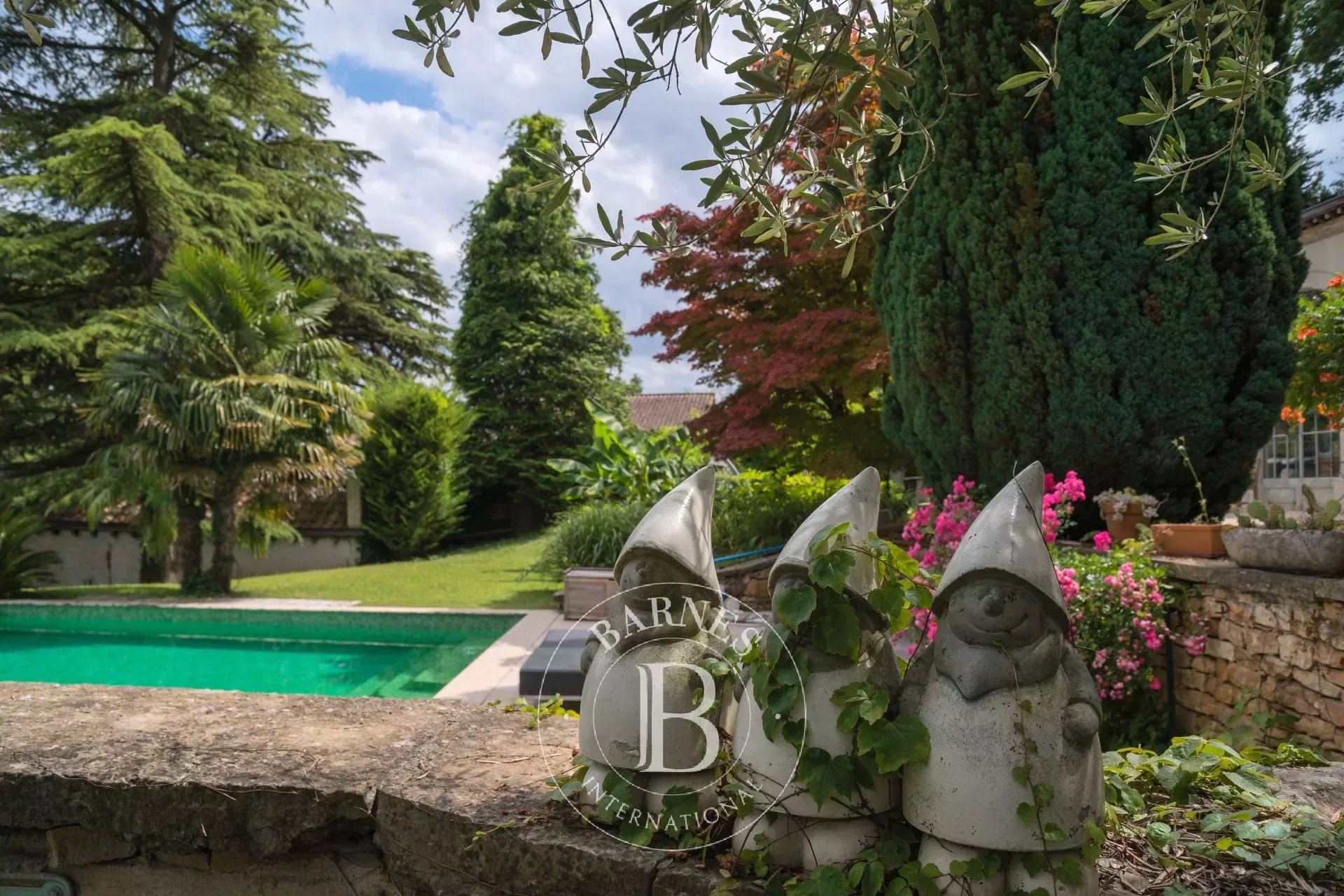 Ev Collonges-au-Mont-d'Or - picture 6