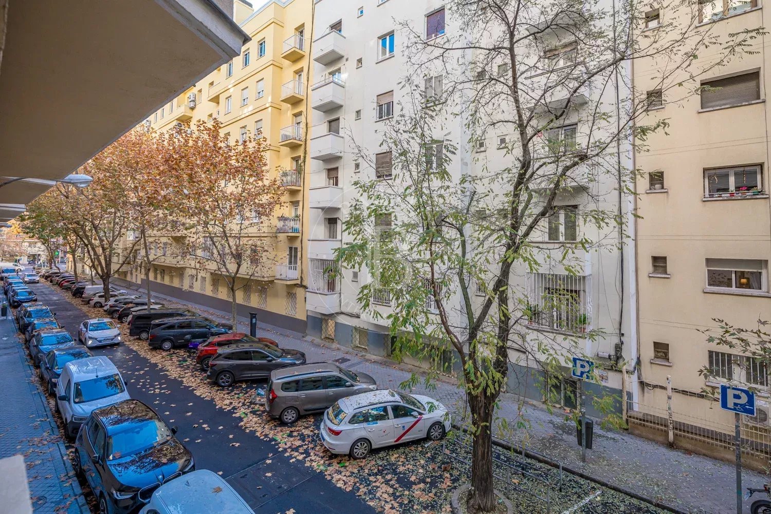 Daire Madrid - picture 30