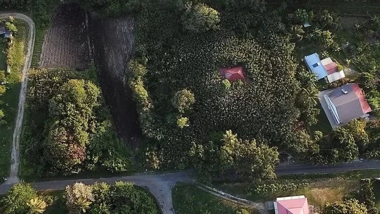 Vente Terrain constructible Saint-François