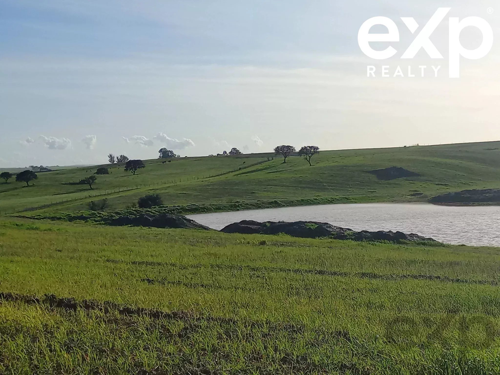 Herdade para Gado -Baixo Alentejo (Insurance for investors, funds and ICNF) 86742404 image 12