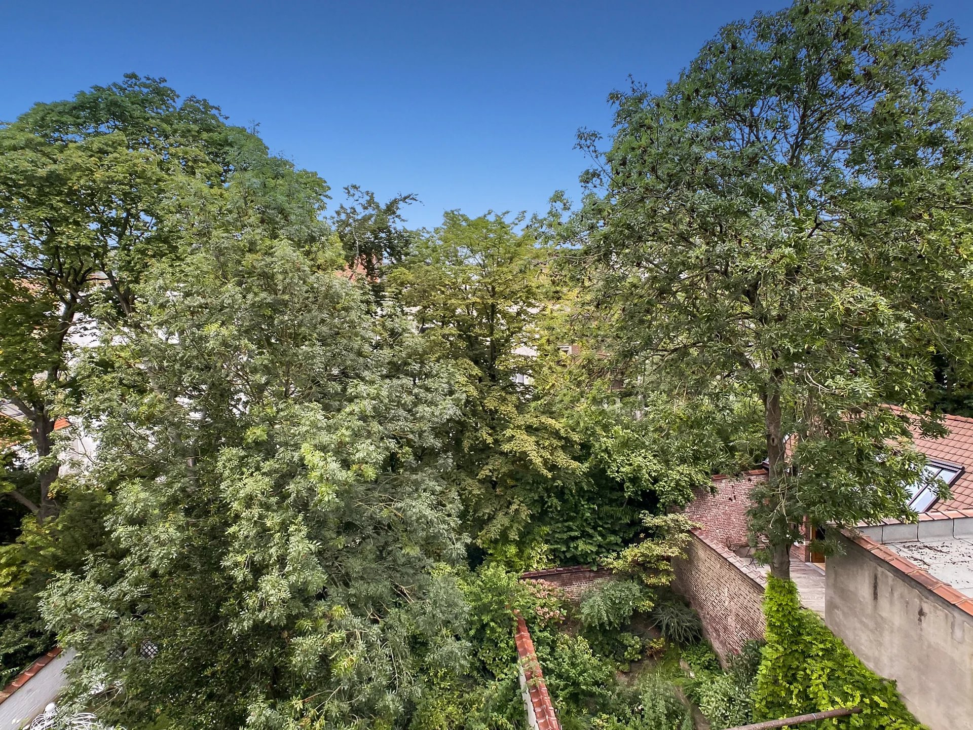 Ev Ixelles - picture 11