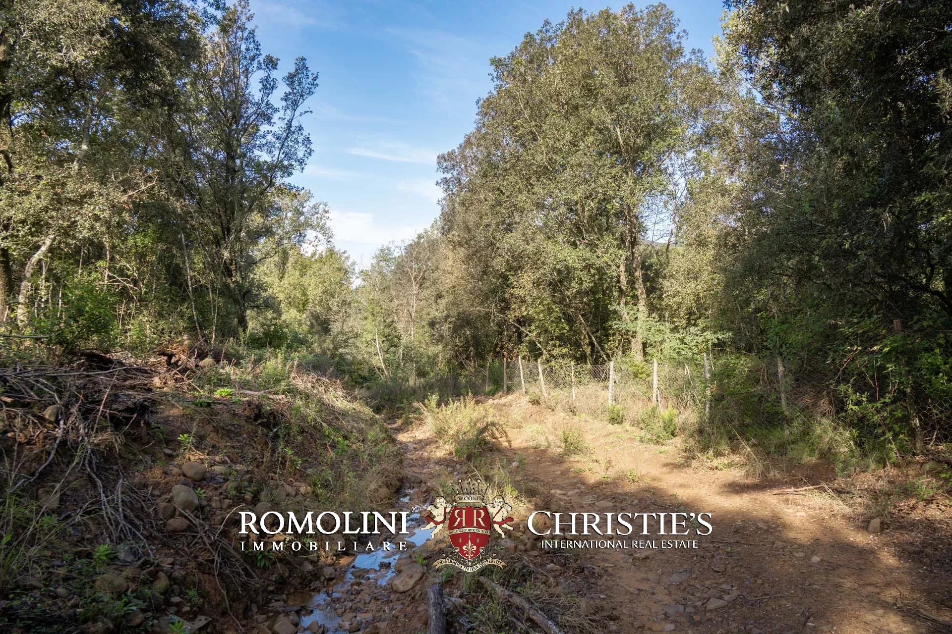 324-HA HUNTING RESERVE WITH DEVELOPMENT PROJECT FOR SALE IN MAREMMA, TUSCAN COAST