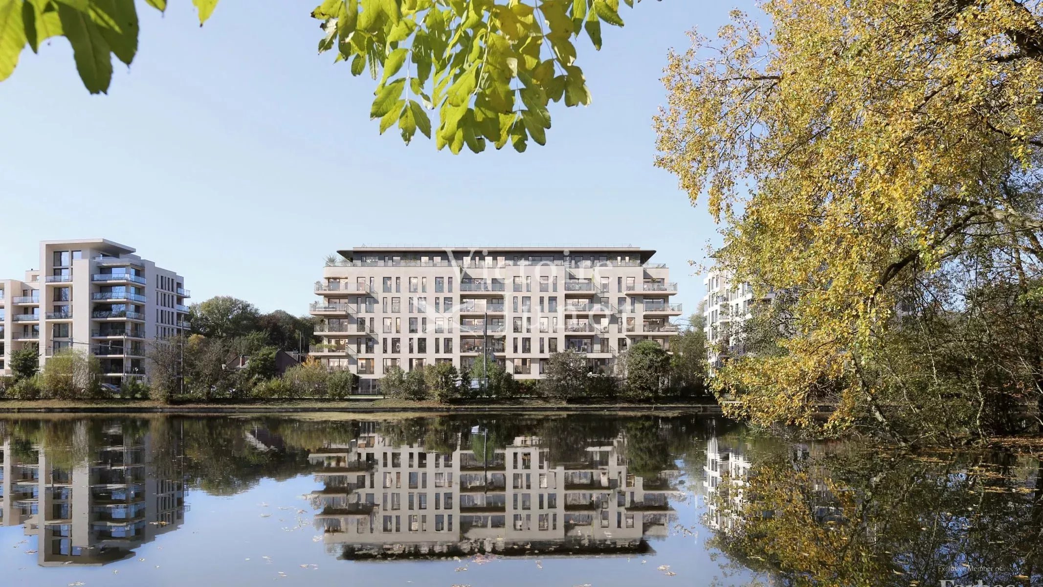 MALOU VIEW PROJET