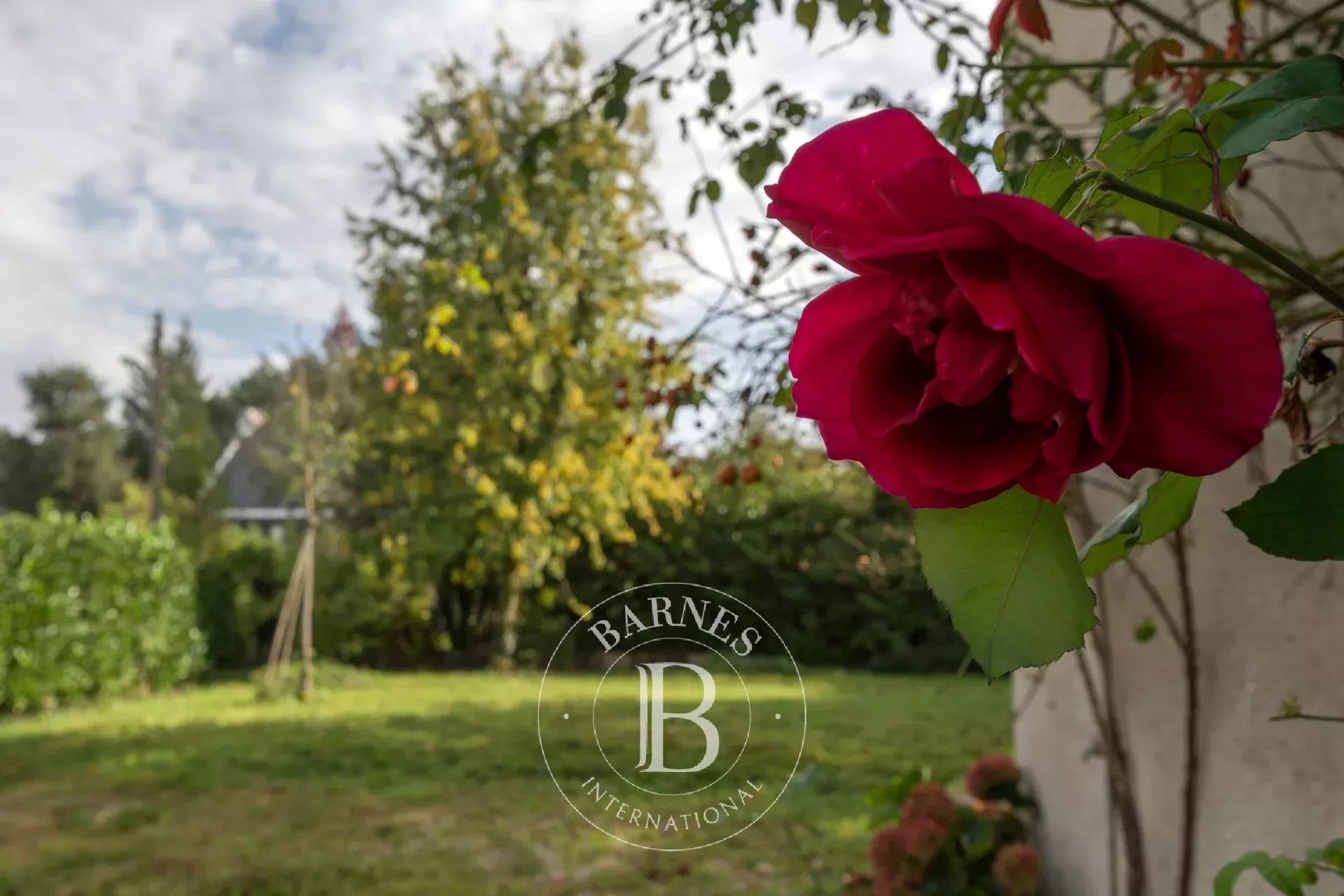 Ev Écully - picture 14