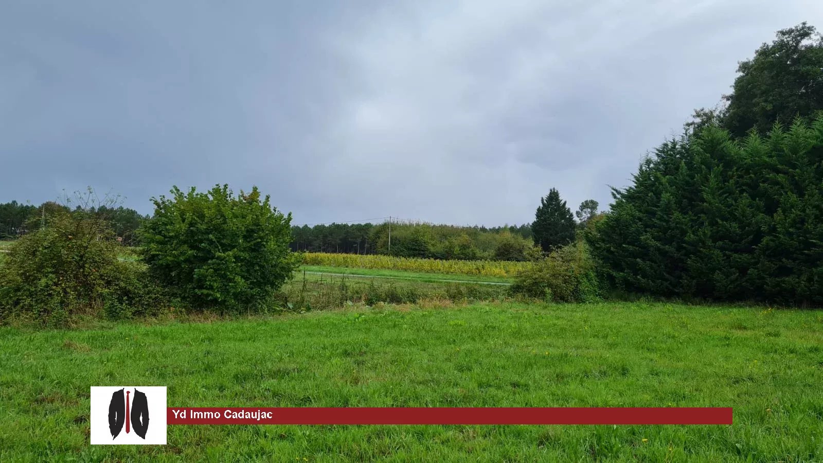 Agence immobilière de YD Immo