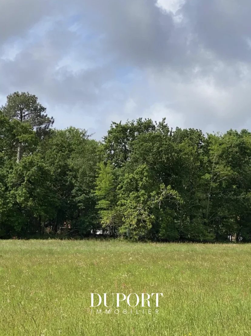 Agence immobilière de Duport Immobilier