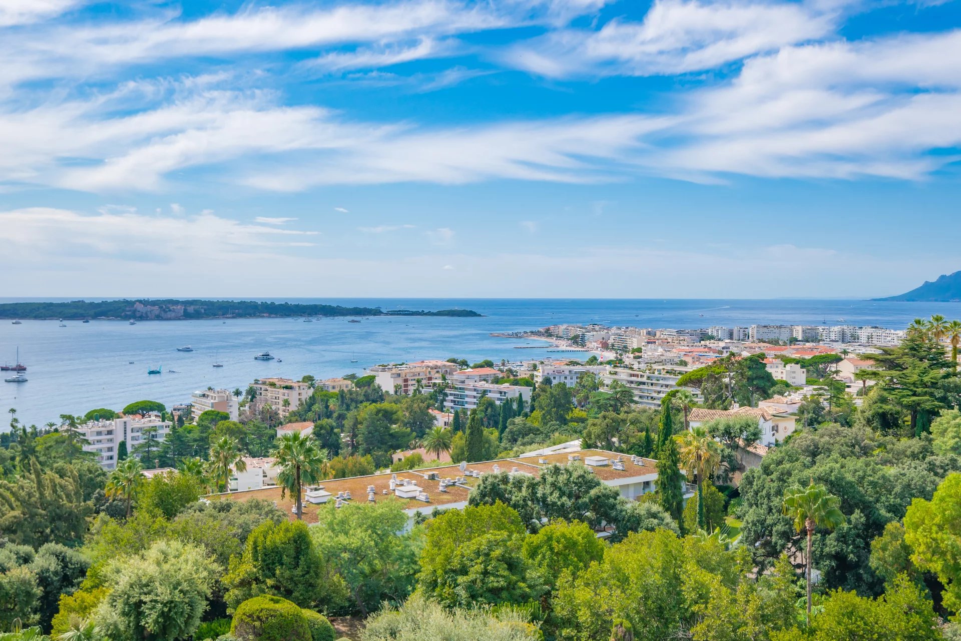 Agence immobilière de David Luxury Properties