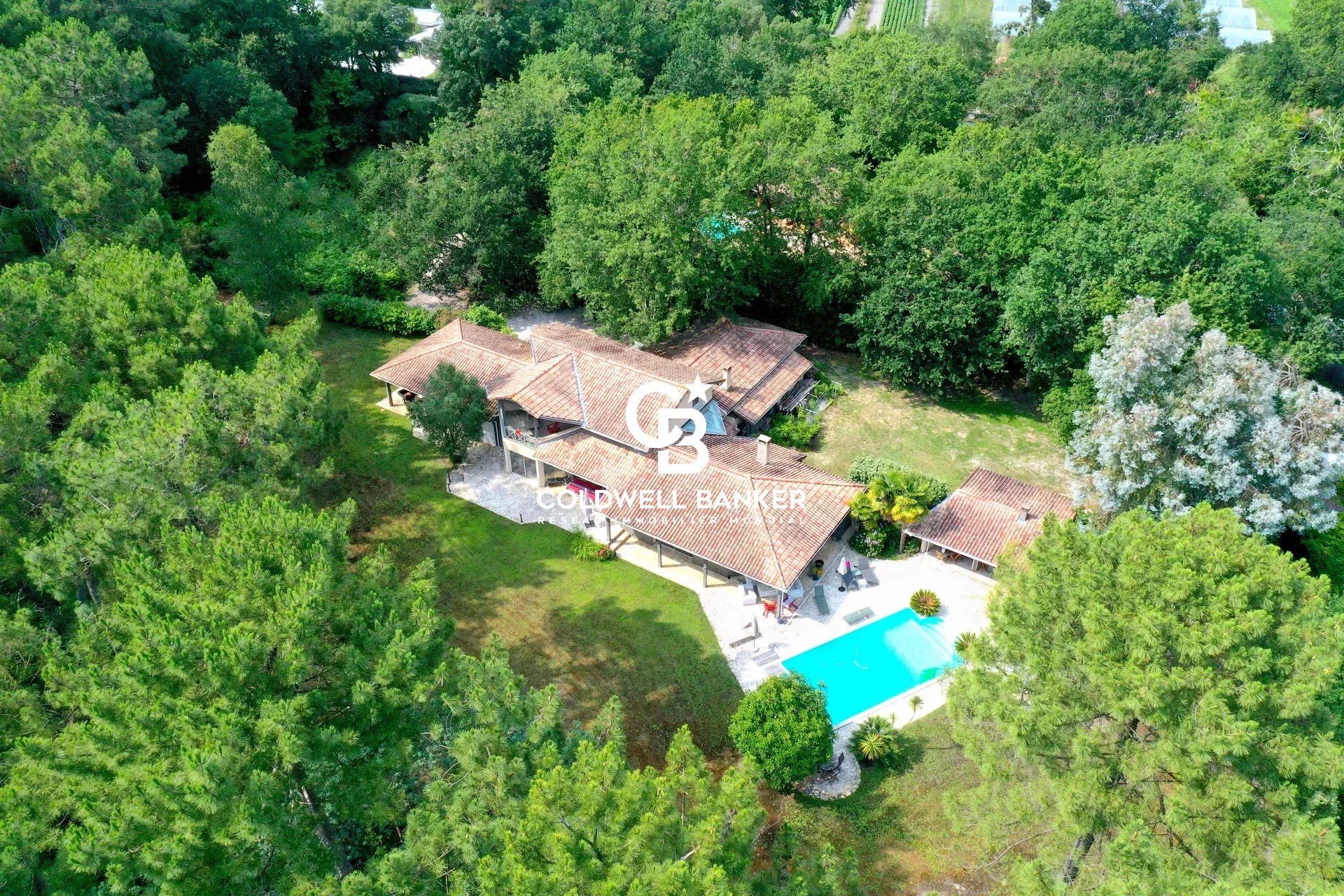 Agence immobilière de Coldwell Banker Surfin Realty