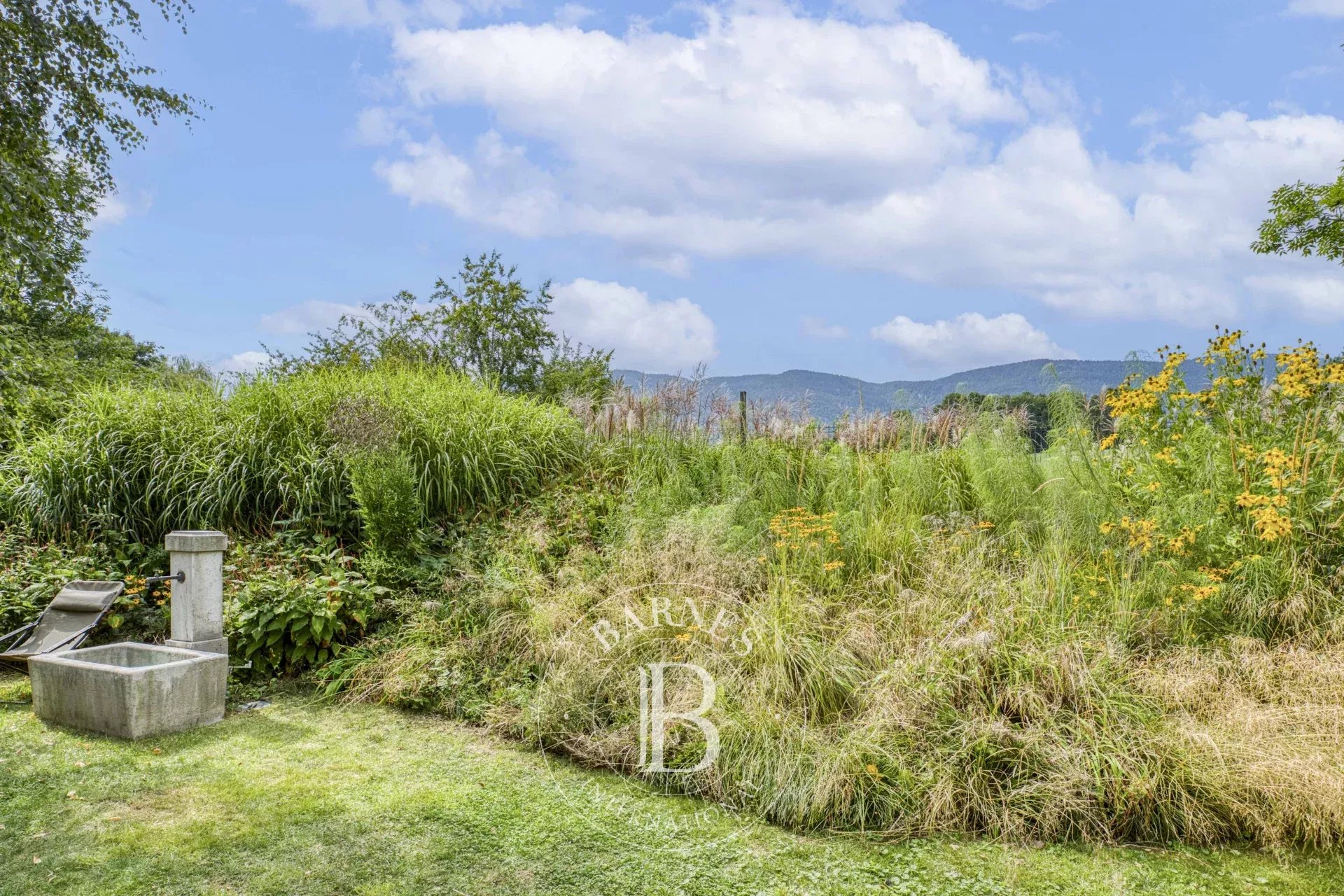 Villa Divonne-les-Bains - picture 33