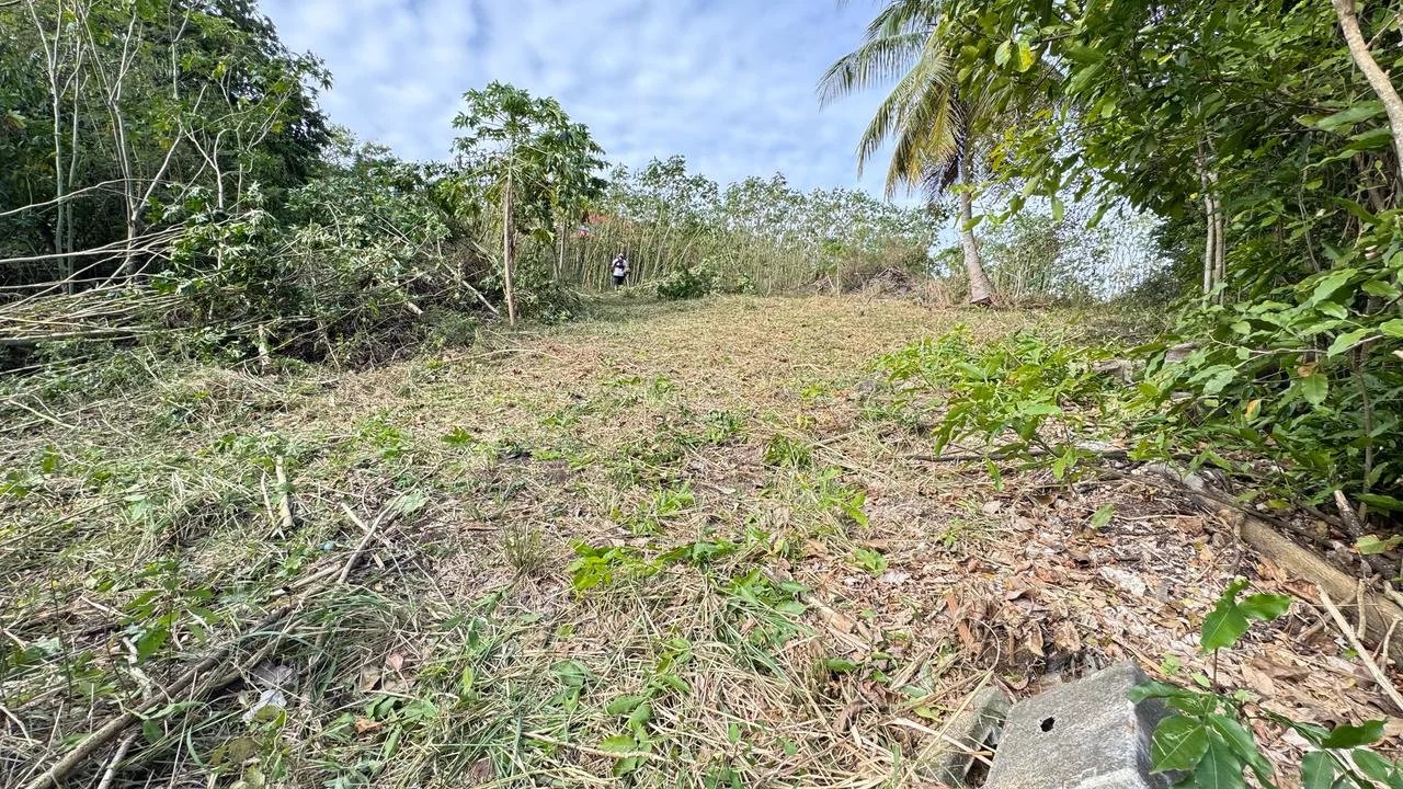 Vente Terrain constructible Saint-François