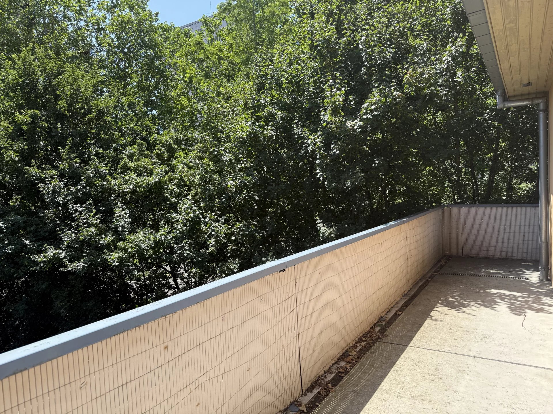 APPARTEMENT DE TYPE F3