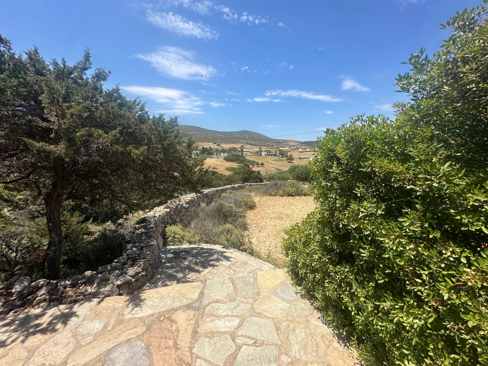 Εικόνα ιδιοκτησίας 85