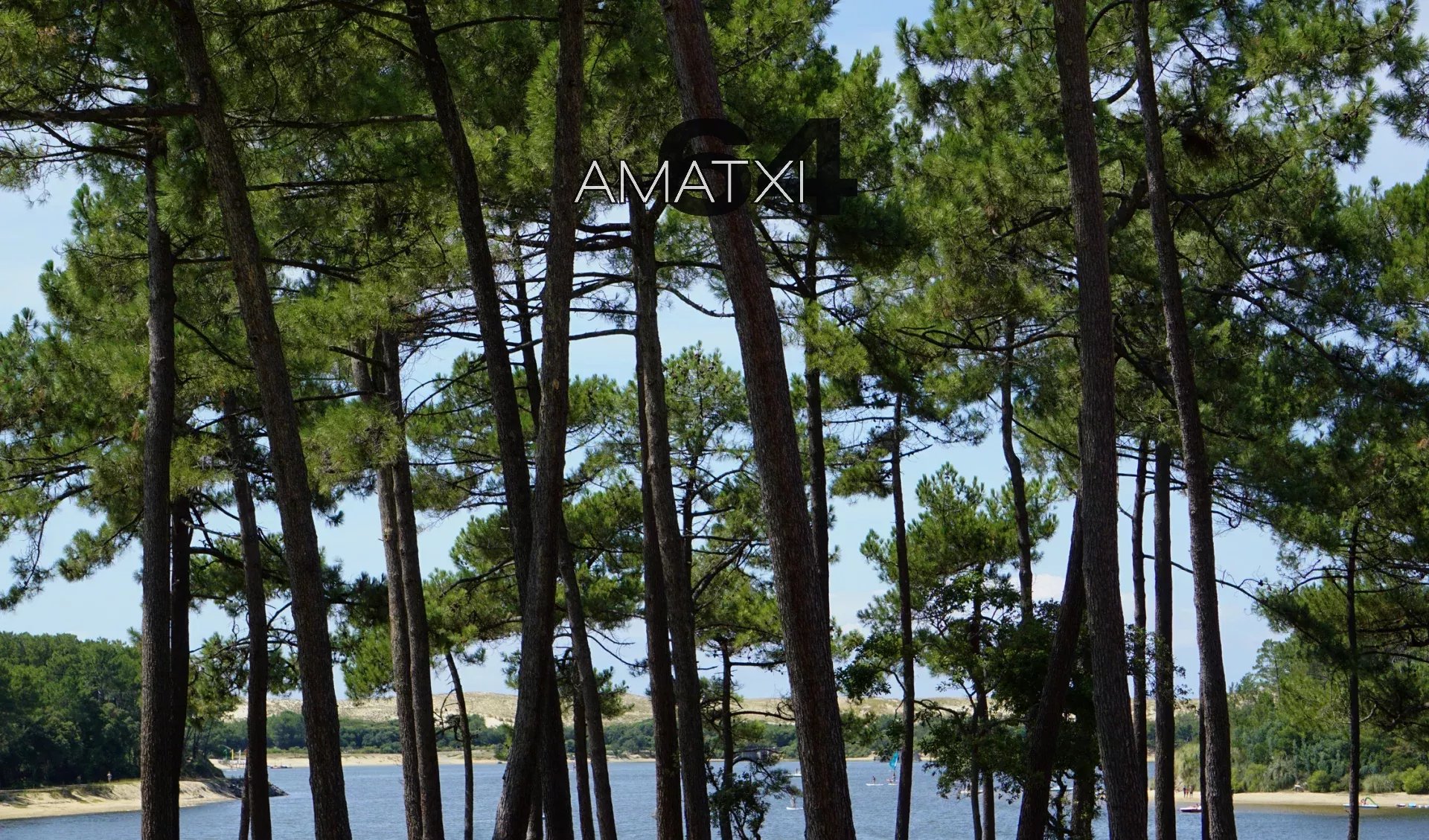 Agence immobilière de AMATXI