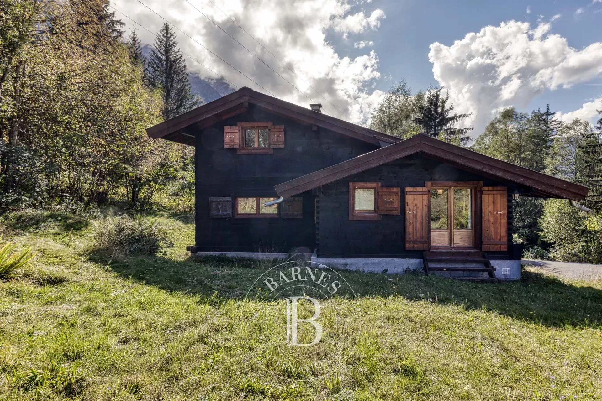 Dağ evi Chamonix-Mont-Blanc - picture 15