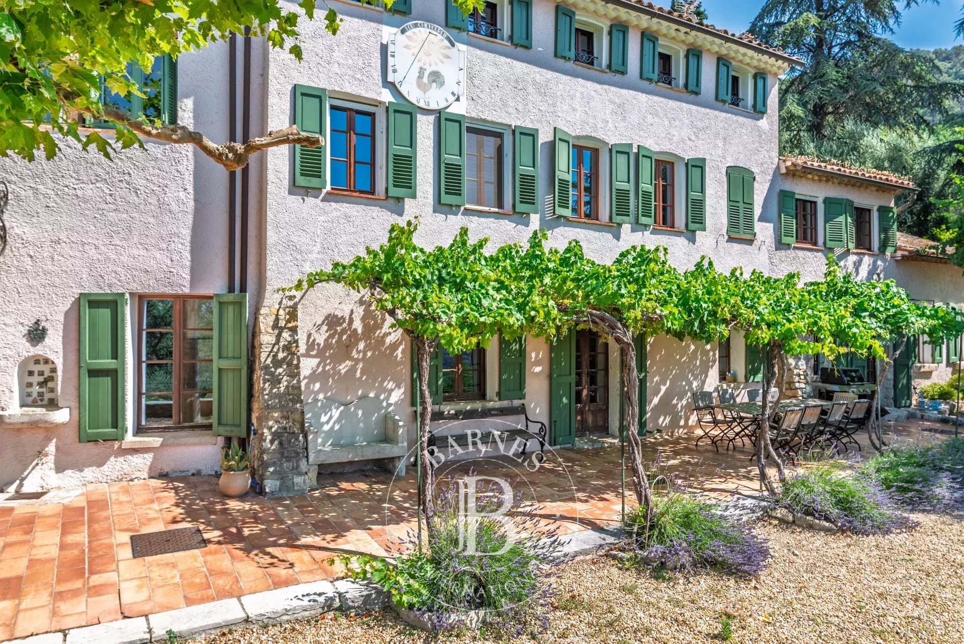 Ev Grasse - picture 4