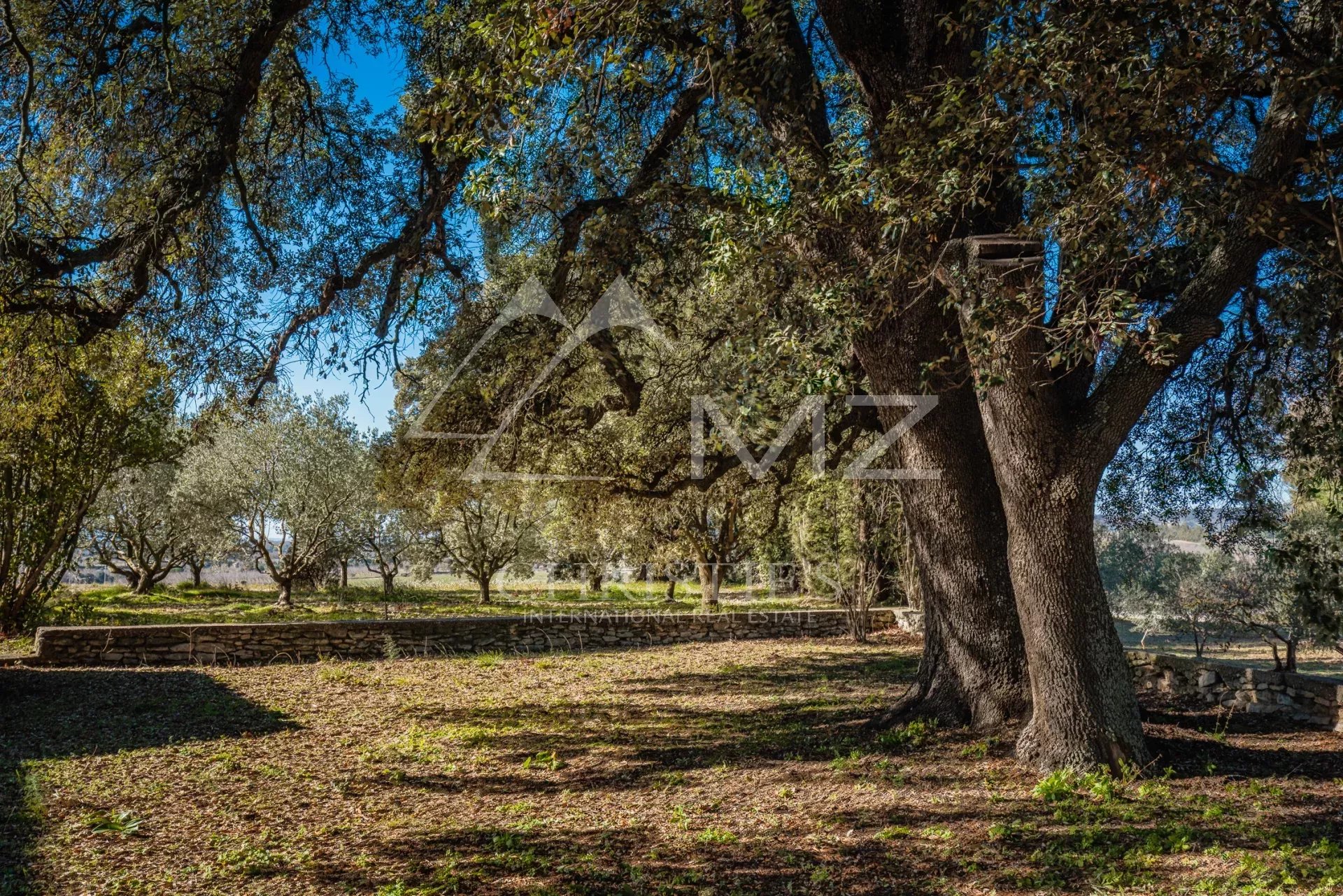 Property Slider Image