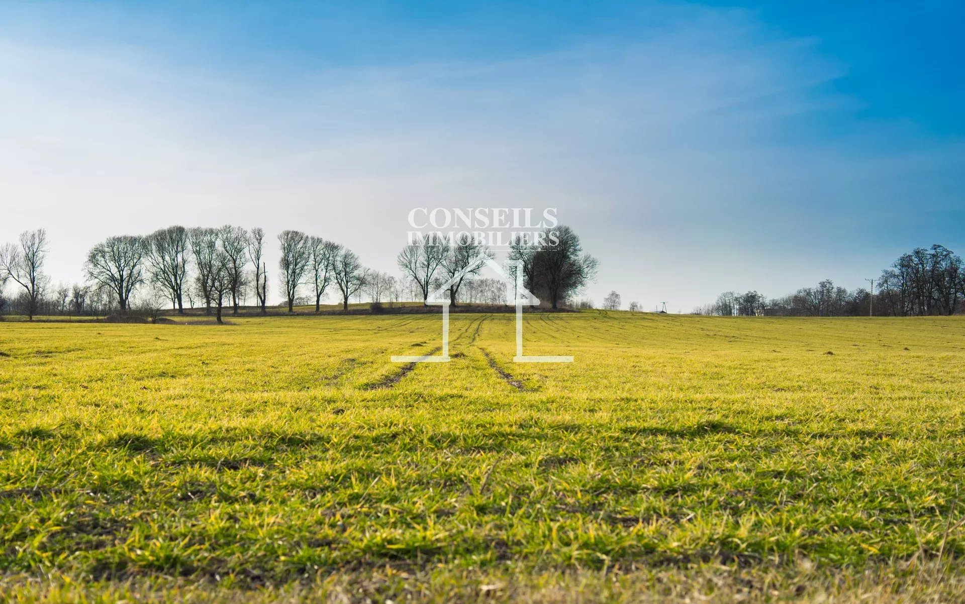 Agence immobilière de G L C