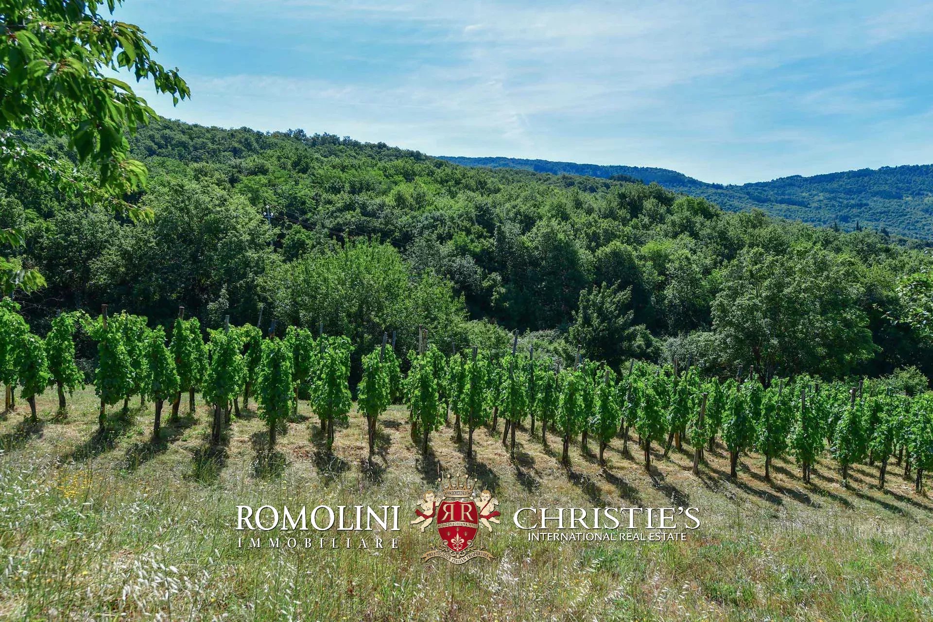 16 Bedroom Vineyard's Image 40