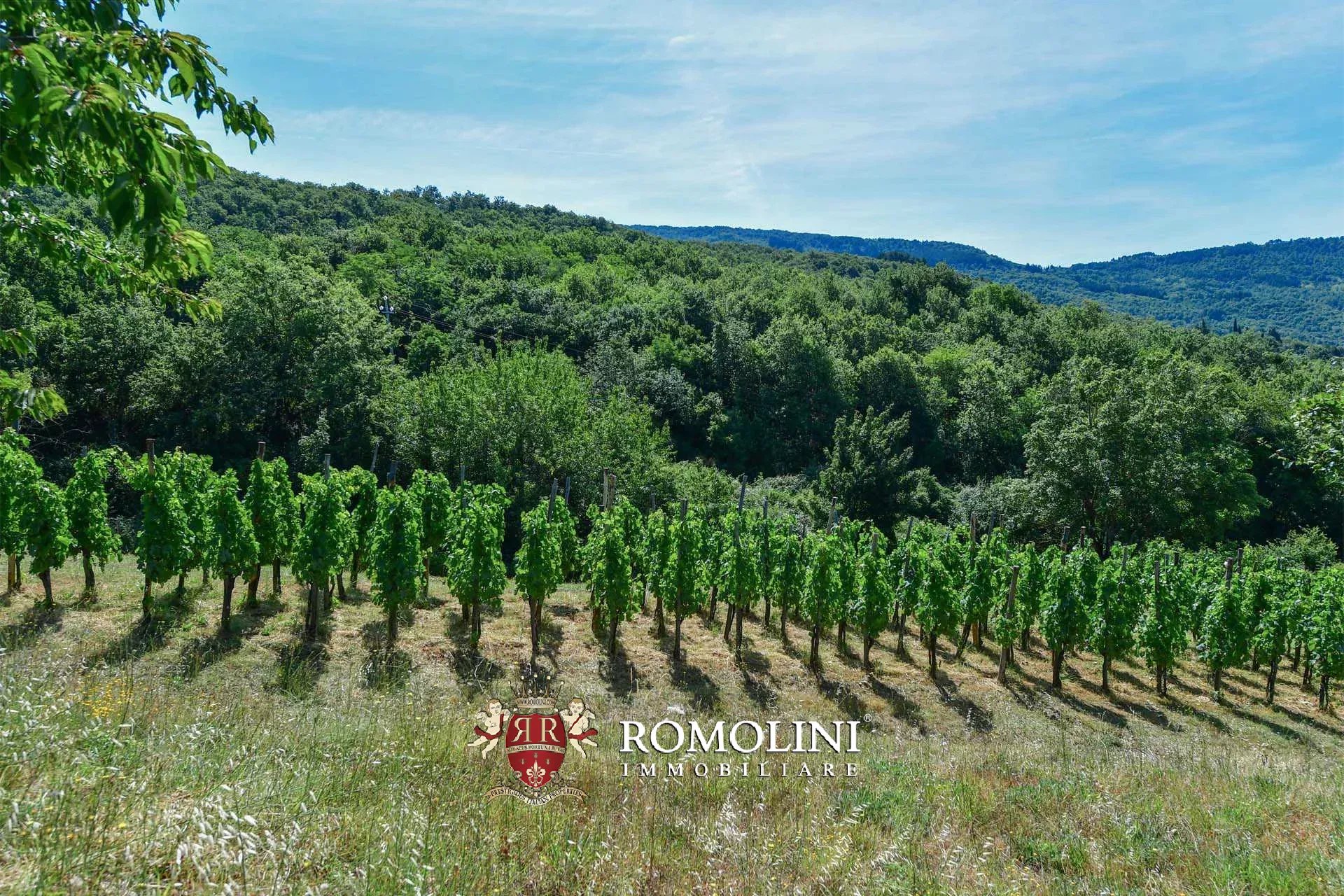 16 Bedroom Vineyard's Image 40