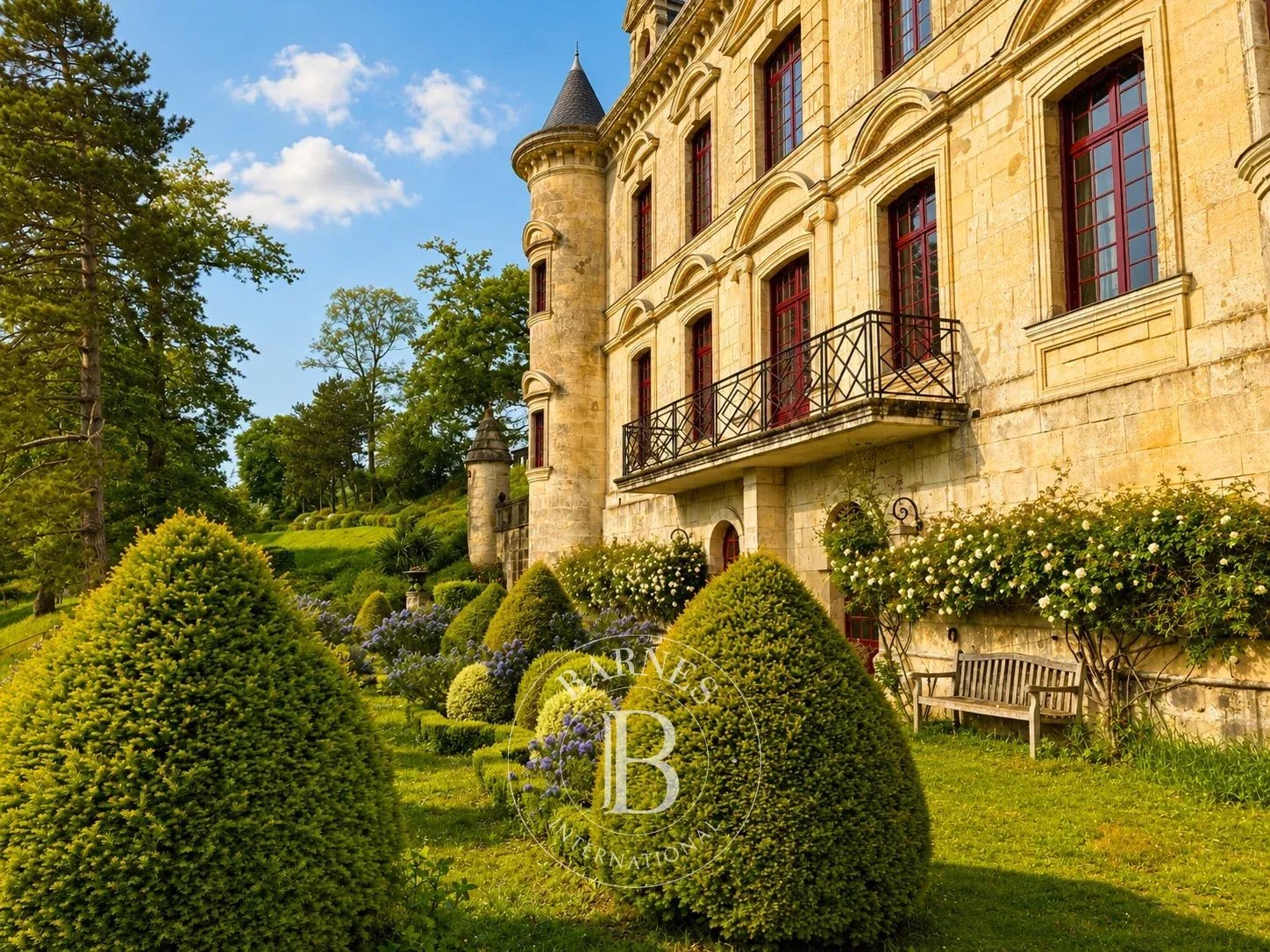 Vassens  - Château  - picture 14