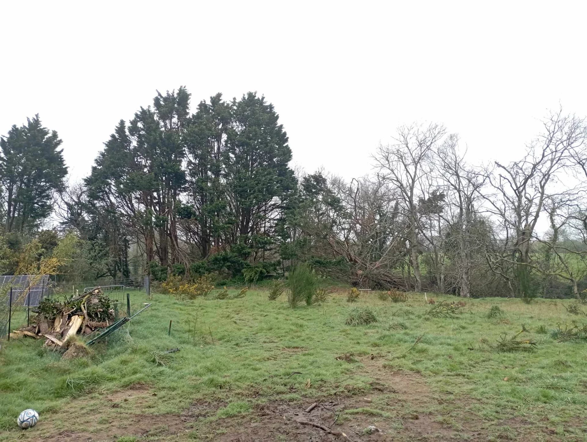 Agence immobilière de AR VRO Immobilier