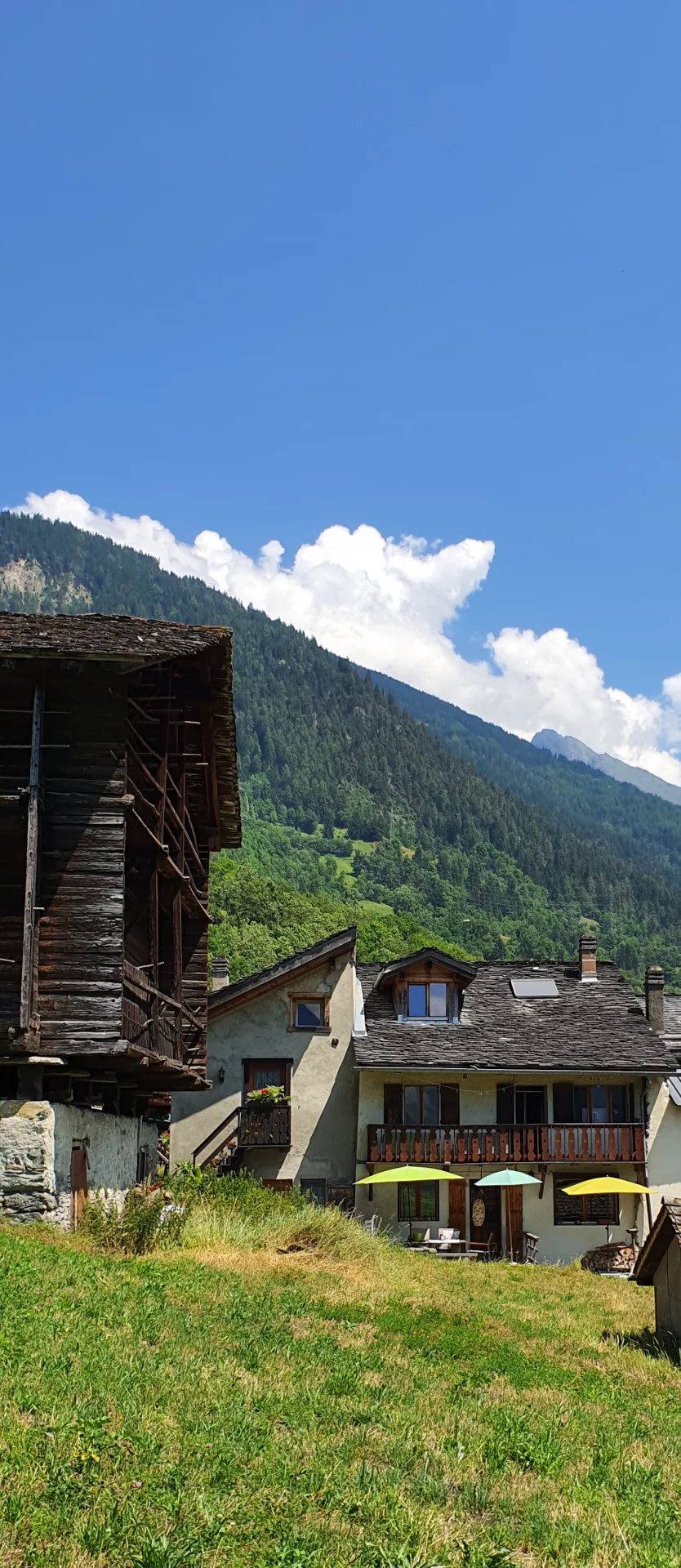 Chalet traditionel de 3 appartements
