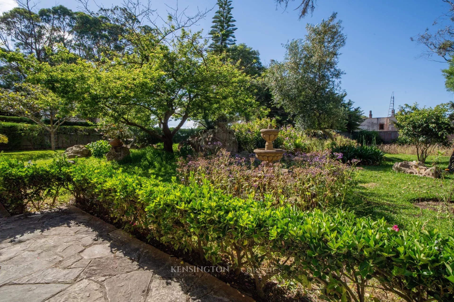 4 Bedroom Villa/Townhouse's Image 19