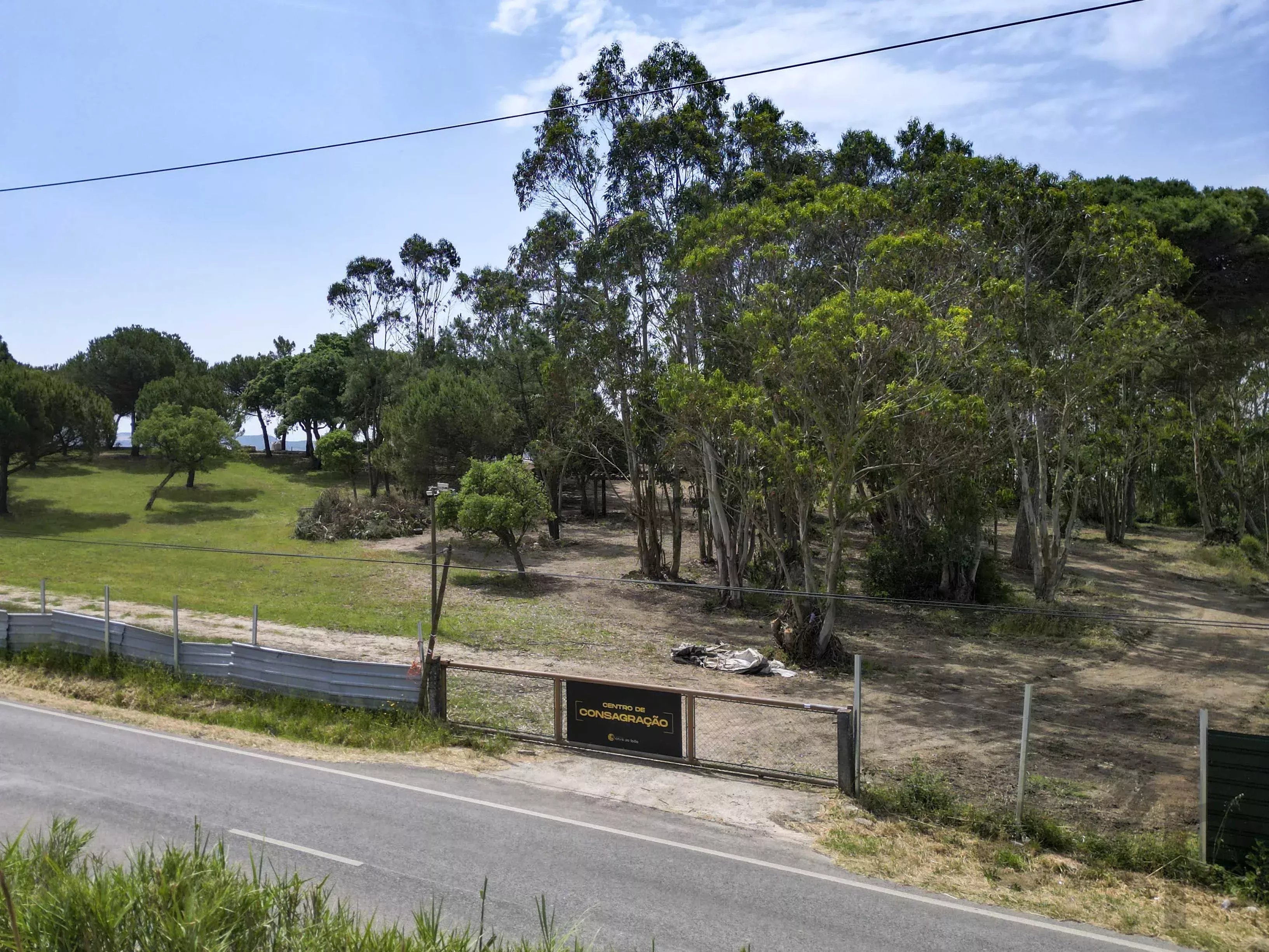 A dos Cunhados - Commercial farm with a plot of land measuring 9630 square meters 87016840 image 40