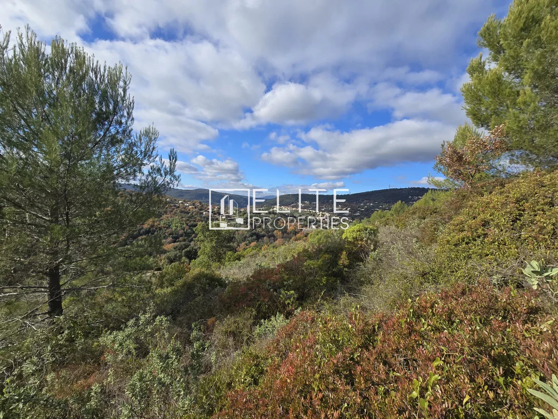 TERRAIN NON CONSTRUCTIBLE DE 6830m² LE TIGNET - Photo 2