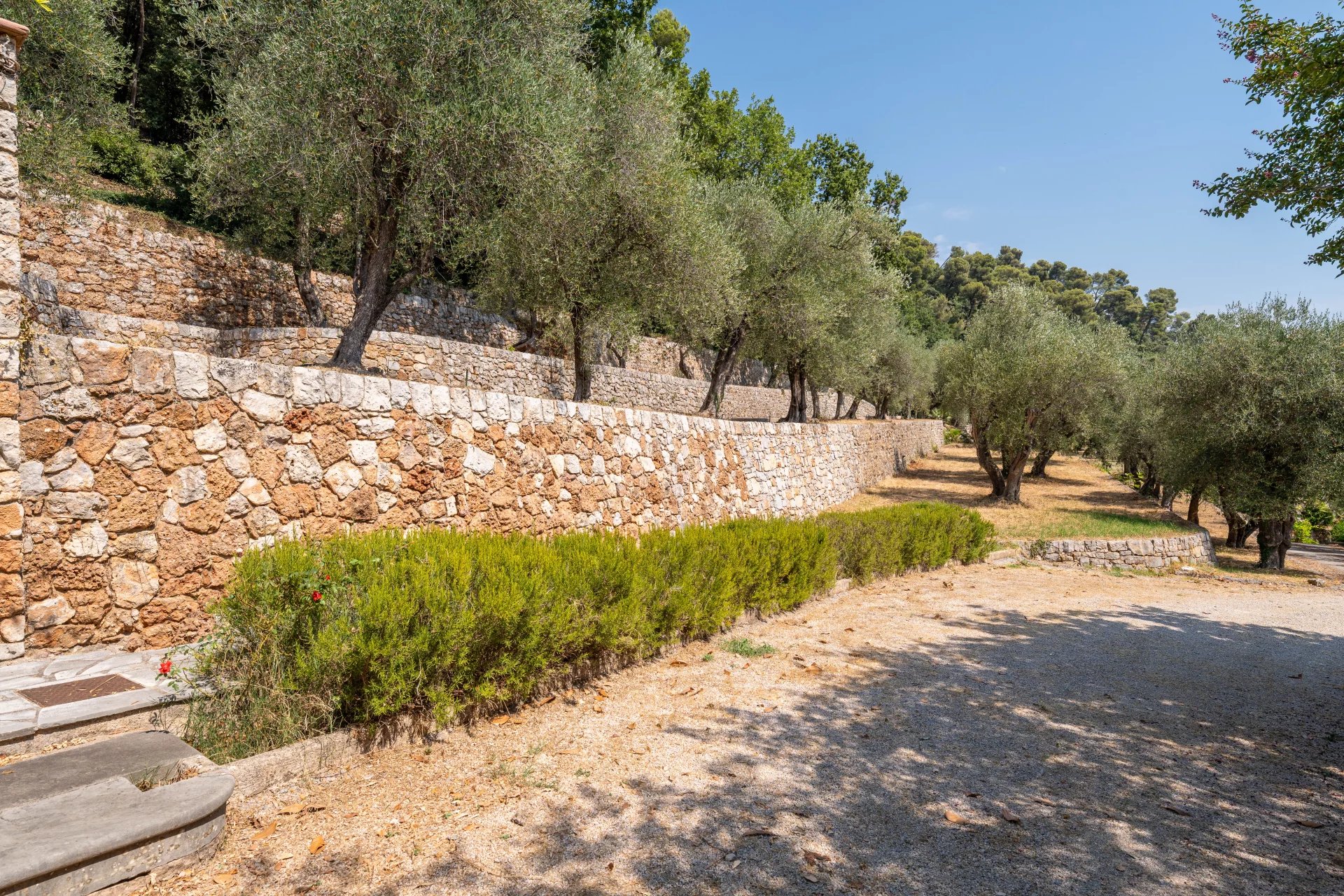  Image of Villa - 12 Bedrooms for Sale in Alpes-Maritimes-Grasse-France, Image 17