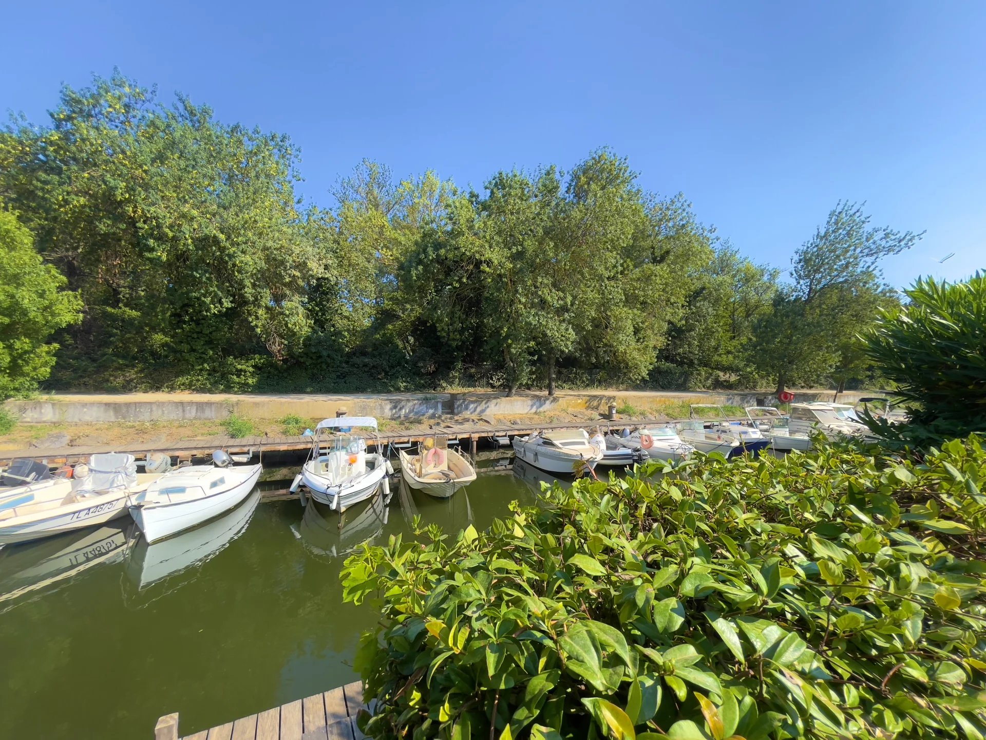 Agence immobilière de Immobilière Du Golfe De Saint-Topez