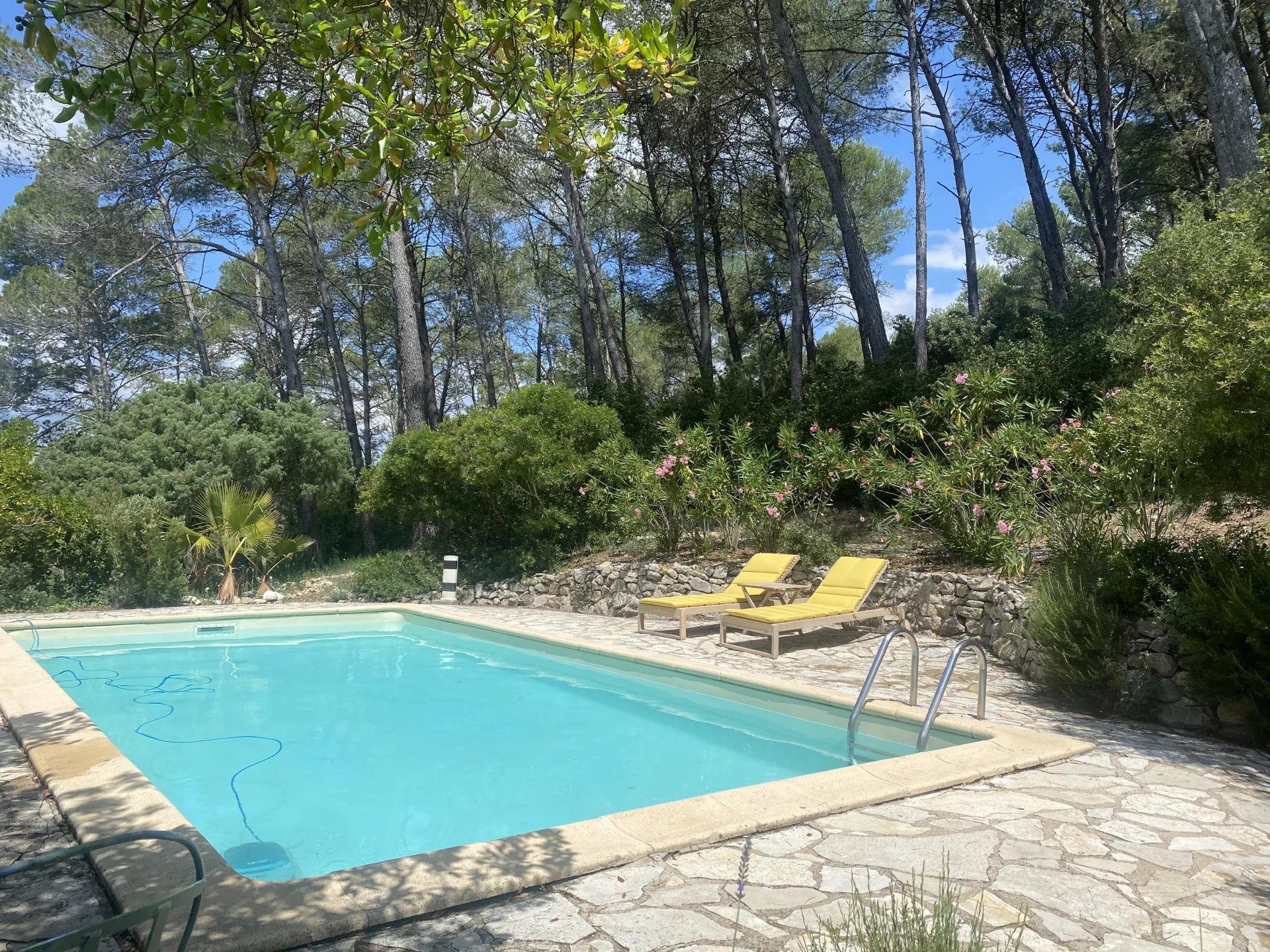 BELLE BASTIDE PROVENÇALE 5 CHAMBRES — photo 12
